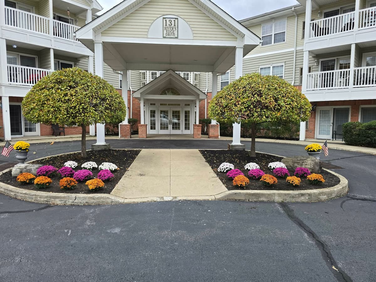 Commercial landscaping with seasonal mums