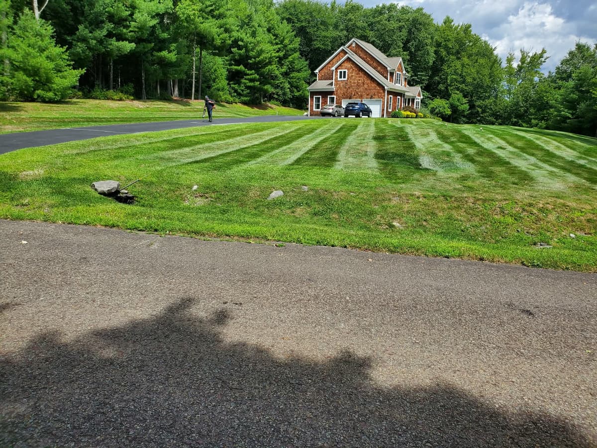 Professional lawn striping