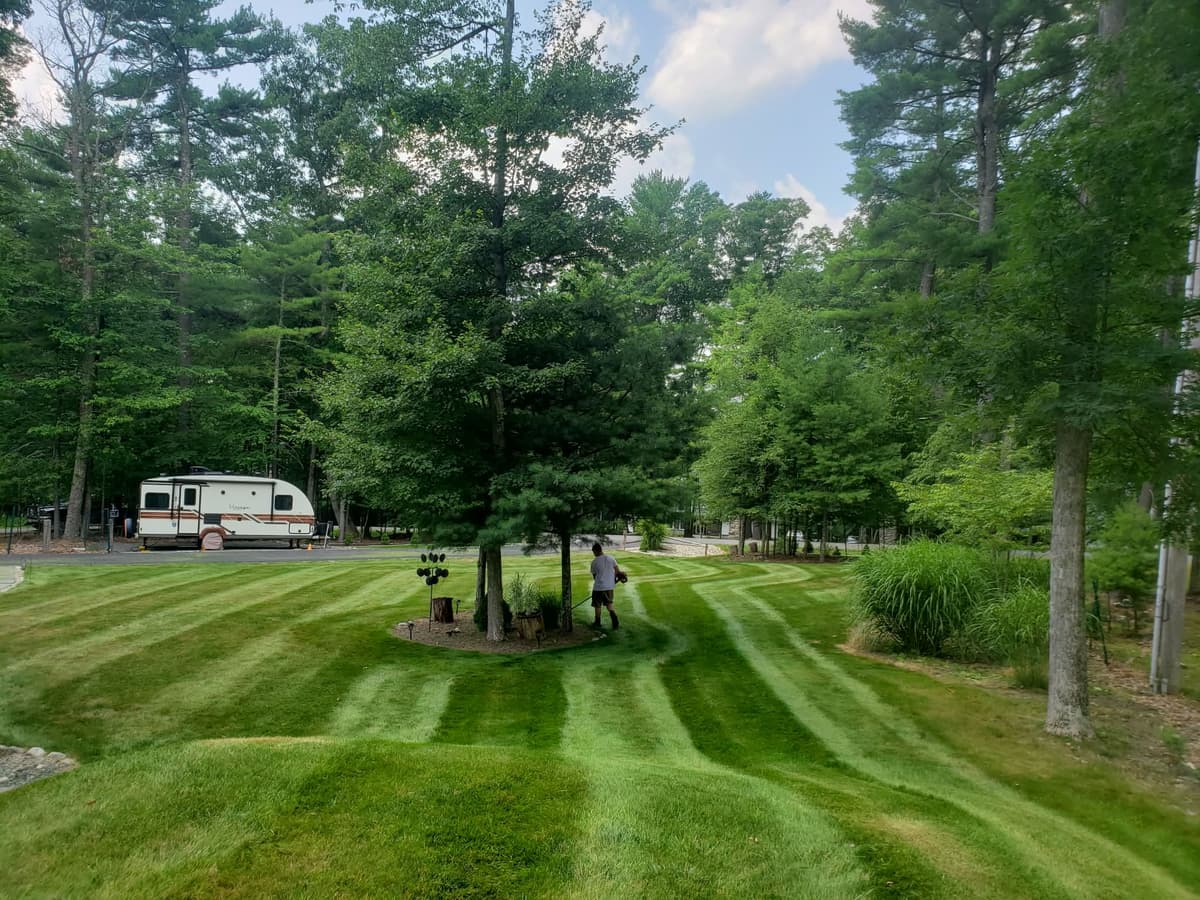 Professional lawn striping on residential property